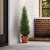 2 Pack 3 ft Outdoor Artificial Topiary Cedar Plants Fake Tree UV Rated Potted Plants for Porch Decor Faux Pine Tree for Perfect Housewarming Gift